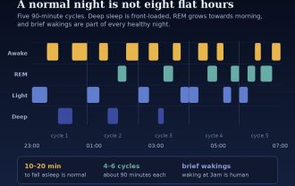 Hypnogram showing five 90-minute sleep cycles across a night, with deep sleep early and REM towards morning