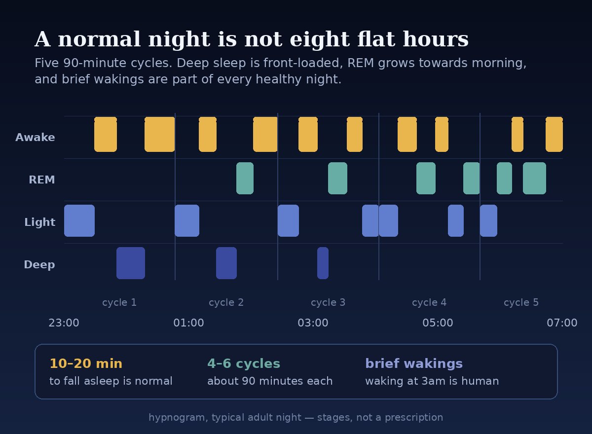 Hypnogram showing five 90-minute sleep cycles across a night, with deep sleep early and REM towards morning